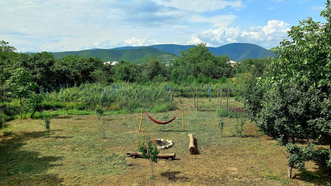 Veli Guest House • Საოჯახო Სასტუმრო Ველი Zemo Alvani المظهر الخارجي الصورة